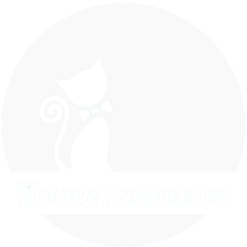 Котопсихолог